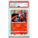 Pokemon PSA 10 JPN.SWSH FA Charizard / Holo #017 VMAX Climax 2021 Gem MT